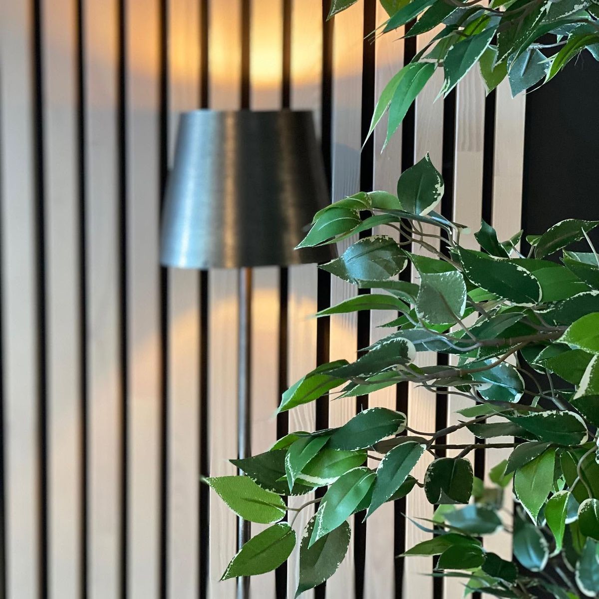 Spilevegg i tre med gulvlampe og grønn plante